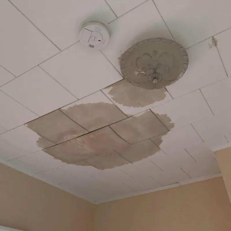Ceiling Water Damage Repair in Dobson, NC
